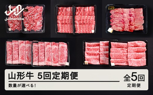 
            山形牛 5回 定期便  すき焼き  焼肉  肩ロース バラ切り落とし  カルビ モモ  tf-tkygx
          