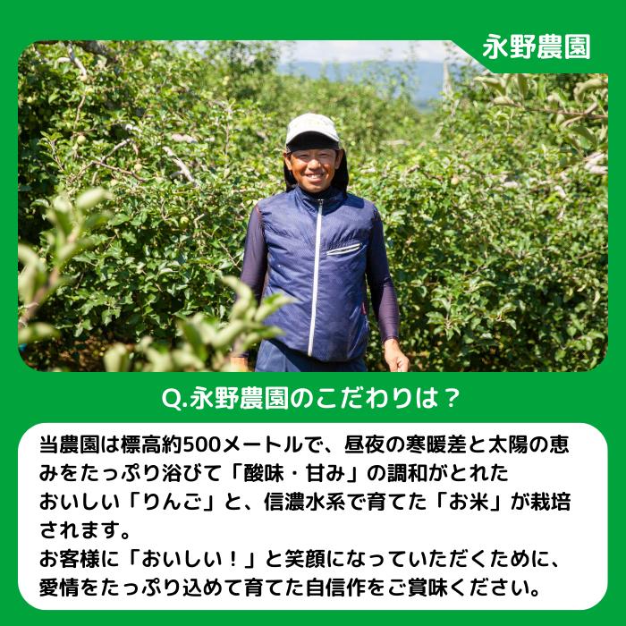 【 年明け発送 】 りんご サンふじ 訳あり 5kg 永野農園 沖縄