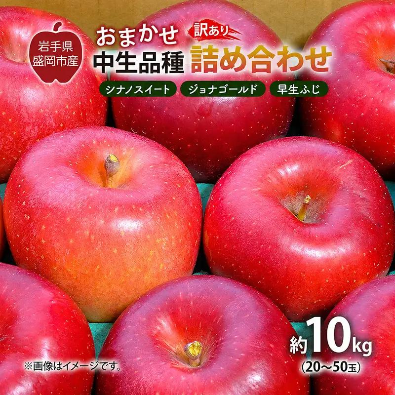 【先行予約】 9月中旬発送開始 訳あり りんご 詰め合わせ 2種以上 10kg 藤与果樹園 fujiyo015 りんご