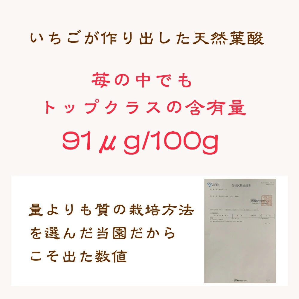 いちご 雪国完熟越後姫 約170g×4P 苺 イチゴ フルーツ 完熟 