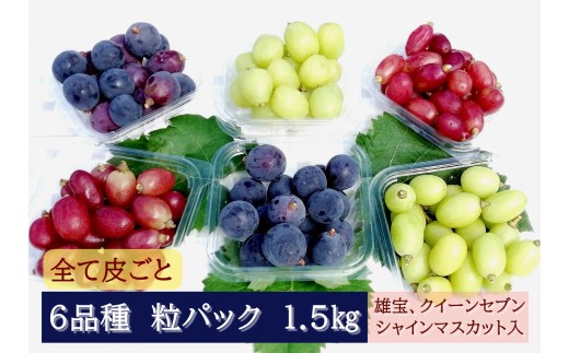 【2026年発送分先行予約】全部皮ごと・農家自慢の6品種パック 1.5kg　ナガノパープル・クイーンセブン・雄宝入り　250gパック×6個【配送時期：8月下旬】【配送不可：離島】