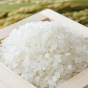 米 キヌヒカリ 5kg ×2袋 計 10kg (2024年産) 和歌山 県産 / お米 ごはん こめ 単一米 単一原料米 銘柄米 令和6年産 【hhsk400-kinu-10A】