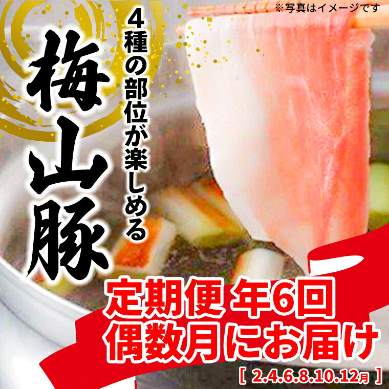 【ふるさと納税】 【6回定期便/偶数月発送】 塚原牧場 幻の豚 「梅山豚」 しゃぶしゃぶセット ブランド豚 メイシャントン 境町 定期便 6回コース