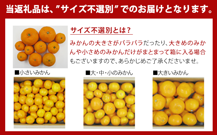  【訳あり/ご家庭用】 先行予約 和歌山県産みかん 約5kg【サイズ混合】 サンファーム《10月上旬-1月下旬頃出荷》和歌山県 紀の川市 みかん ミカン 柑橘 果肉