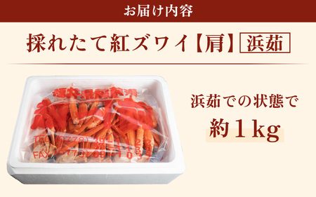 【訳あり】≪浜茹で≫越前産 紅ずわいがに 肩 約 1kg【紅ズワイガニ ボイル 蟹 かに 福井県】【3月お届け】 [e22-x010_03]