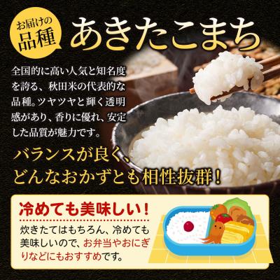 ふるさと納税 大仙市 米《5ヶ月》あきたこまち【白米】令和7年産 5kg|22_aok-010505 |  | 03
