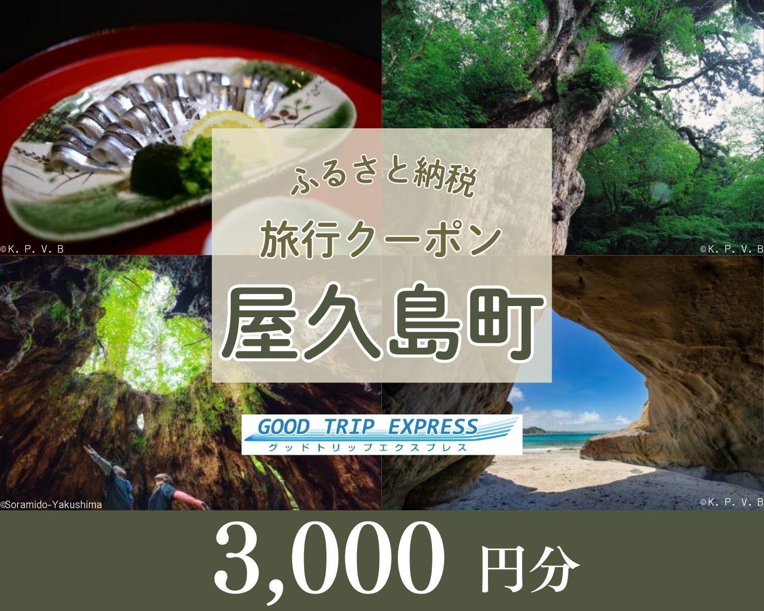 
            屋久島町に泊まるふるさと納税旅行クーポン【3,000円分】
          