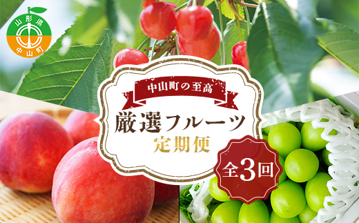 《2025年5月発送開始》中山町の至高！中山町厳選フルーツ定期便 全3回 紅さやか 白桃 シャインマスカット さくらんぼ サクランボ 葡萄 ぶどう ブドウ 桃 もも モモ 山形県産 フルーツ 果物 く