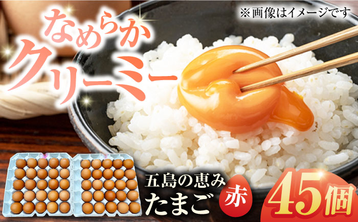 【箱入り】五島の恵みたまご M〜Lサイズ 45個入 / 卵 赤玉子 五島市 / 五島列島大石養鶏場 [PFQ038]