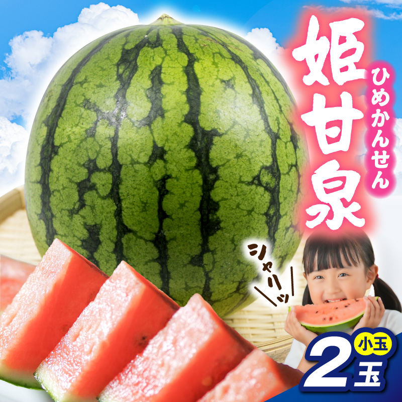 【先行受付】 小玉すいか 姫甘泉 ２玉 【7月下旬以降順次発送】 青森県 五所川原市 スイカ 西瓜 すいか