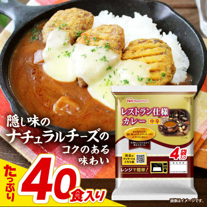 【ふるさと納税】【小分け】日本ハム レストラン仕様カレー中辛10パックセット(1パック4袋入り)計40食分/ カレー かれー レトルト 牛肉 簡単調理 かんたん カンタン スパイス レンジ 牛肉 香味野菜 本格/ 諫早市 / 日本ハムマーケティング株式会社 [AHAL003]