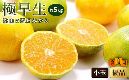 【2026年10月中旬頃から順次発送】【温州みかん】 極早生 家庭用(優品) 小玉 約5kg | 愛媛 【温州みかん】【KK0491】