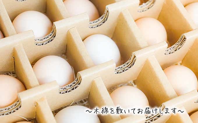 【定期便】土佐ジローたまご（1箱36個入）×3回　約2週間毎に1回