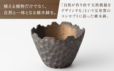 【宝寿窯】植木鉢 小carving[UCN026-1] 植木鉢
