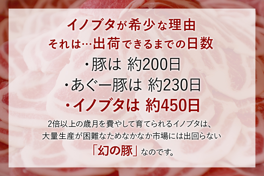 「国頭イノブタ」 バラ(スライス)　１kg【毎⽉10セット限定】