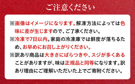 天然 まぐろ 中トロ メバチ（約200～250g（1柵入り））【横須賀商工会議所 おもてなしギフト事務局（本まぐろ直売所 横須賀本店）】[AKAK119]