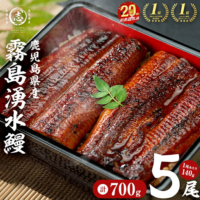 うなぎ生産量日本一の鹿児島県！山田水産の霧島湧水鰻 160g以上×5尾＜計800g以上＞