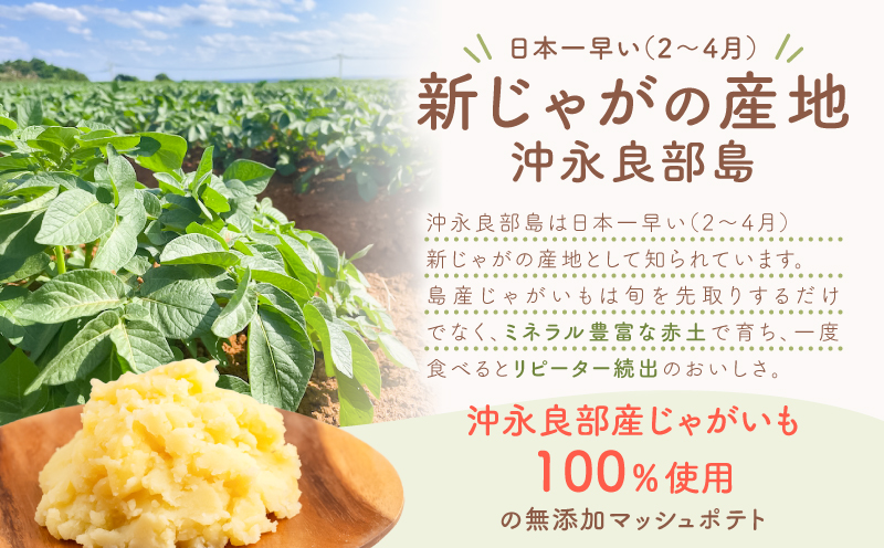 沖永良部産じゃがいも100％！ていねいに仕上げた無添加マッシュポテト 90g×30個　W071-001-03