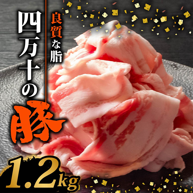 四万十ポークスライス1.2kg | 300g × 4パック セット 豚肉 豚バラ肉 小分け 小間切れ スライス 切り落とし 冷凍 真空パック 簡単調理 細切れ 大容量 肉 高知県 須崎市