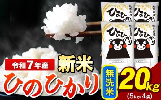 新米 令和7年産 ひのひかり 無洗米 20kg 《12月中旬-2月末頃出荷》 5kg×4袋 熊本県産（荒尾市産含む） 米 精米 ひの