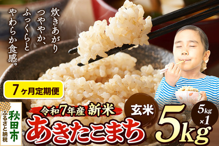 《令和7年産 新米》《定期便7ヶ月》 米 あきたこまち 5kg 【玄米】 秋田県産