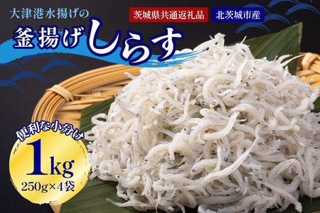 大津港水揚げの釜揚げしらす 1kg[500g×2箱]（茨城県共通返礼品・北茨城市産） A78-006
