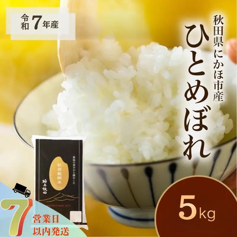 白米 ひとめぼれ 5kg 令和7年産 ひとめぼれ