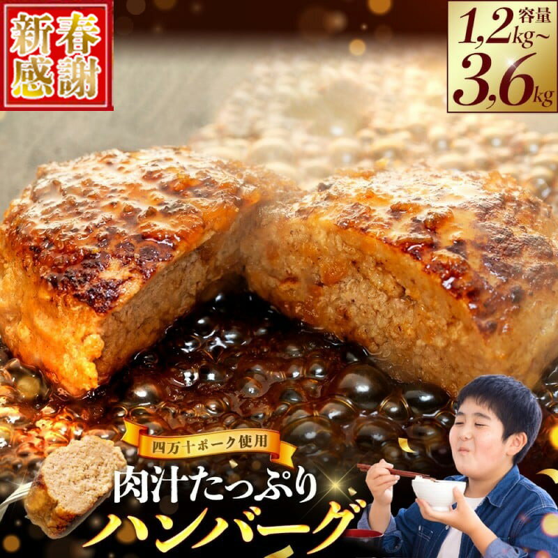 【ふるさと納税】 【 新春感謝 】 ハンバーグ 発送月が選べる 四万十ポーク 入り 200g x 6個 12個18個 ジューシー 肉汁 ブランド 豚 冷凍 おかず 手軽 お弁当 つまみ 夕食 ご飯 ディナー 贈り物 ギフト ポーク 高知県 須崎市 須崎の恵み ふるさと納税