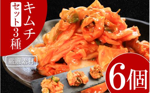 キムチ 3種 セット 各2個ずつ 計6個 本格キムチ カッパキムチ 白菜キムチ きゅうりキムチ ピリ辛 おつまみ 食物繊維たっぷり 韓国 乳酸菌 健康 ご飯 お供 旨味 国産野菜 キムチ鍋用 韓国料理 漬物 発酵食品 ダイエット 低カロリー ビビンバ 焼肉 キムチ鍋 鍋 炒め物 料理 徳島県 吉野川市