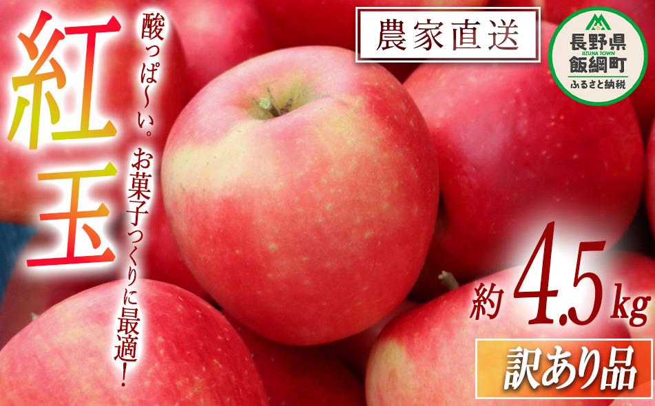 
            りんご 紅玉 訳あり 4.5kg 中村ファーム 沖縄県への配送不可 2025年9月中旬頃から2025年11月上旬頃まで順次発送予定 令和7年度収穫分 長野県 飯綱町 [1242]
          