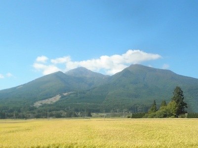 【令和7年度産 新米予約】 米 里山のつぶ 10kg(10kg×1袋) 白米 精米 ※2025年11月下旬頃より順次発送予定 ※沖縄・離島への配送不可