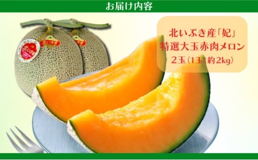 【先行予約】特選大玉赤肉メロン【2玉入り】【令和8年7月末発送】 K001