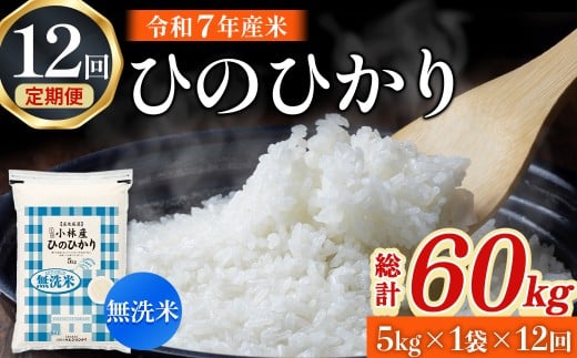【令和7年産米】無洗米ヒノヒカリ 5kg×12回 お米 米 ヒノヒカリ 無洗米 定期便 令和7年産 国産 人気 お弁当 おにぎり 宮崎県 小林市