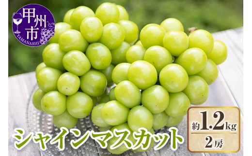 【クール配送】極上！山梨県産シャインマスカット2房（約1.2kg）【2026年発送】（KFT）B13-1813 【シャインマスカット ぶどう 葡萄 ブドウ 令和8年発送 期間限定 山梨県産 甲州市 フルーツ 果物】