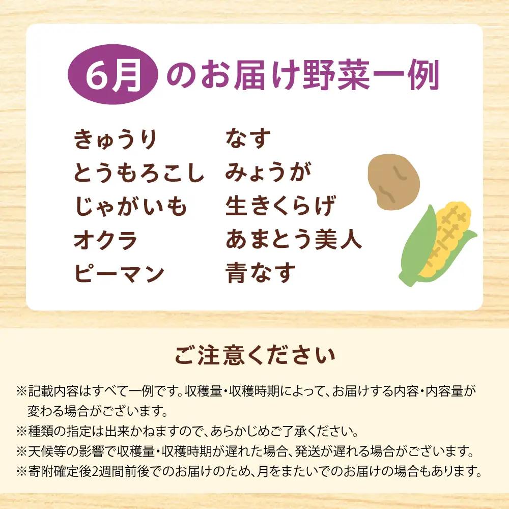 高槻野菜おまかせ詰め合わせセット 6月（10種〜15種）[AOCS012] 野菜セット