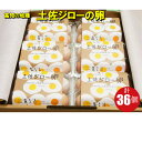 【ふるさと納税】＜土佐ジローの卵　6個パック×6（36個）＞高知県 佐川町 もちおのしっぽ【冷蔵】