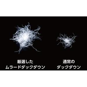 羽毛 布団 岡山市で作られた 羽毛掛け ふとん 柄お任せ ホワイトダック 93％ シングルサイズ 寝具：ピンク系  | 布団 ふとん