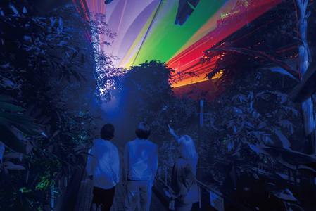 【～2026年3月16日受付】 京都府立植物園 LIGHT CYCLES KYOTO 前売券 大人3枚 チケット