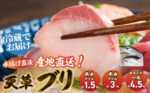 
                  ブリフィレ半身 ぶり まるごと一尾 選べる内容量（約1.5kg～4.5kg）ぶり 鰤_S042
                
