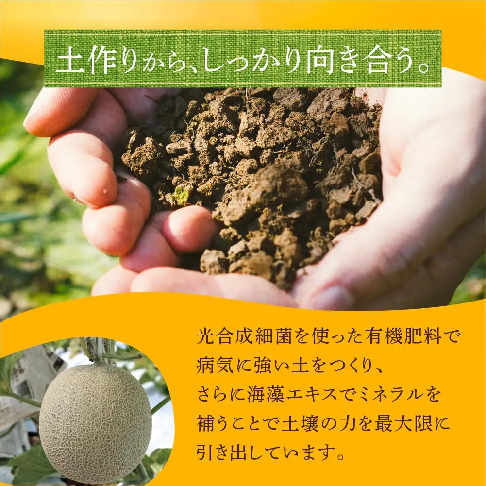 ≪先行予約 2027年発送≫ 温室マスクメロン 3～4玉 【訳あり】めろん メロン マスクメロン 訳あり わけあり 果物 フルーツ デザート 旬 旬の果物 高糖度 糖度 フルーツ先行予約 愛知県 豊橋