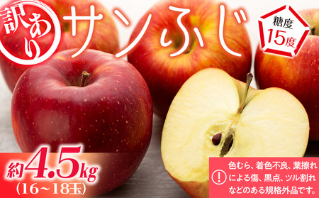 りんご 4.5kg 16～18玉 サンふじ りんご
