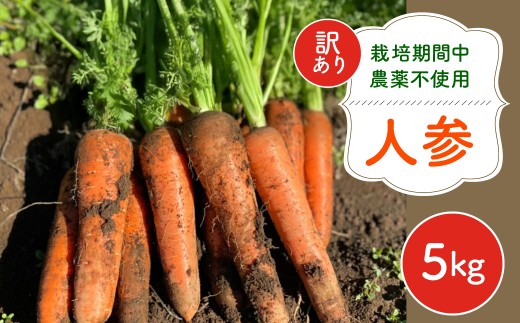 【12月～2月発送】【栽培期間中農薬不使用】訳あり人参５㎏  AIBA FARM　Ｂ品 / 野菜 やさい にんじん 人参 ニンジン 名産 特産 甘い 美味しい 訳あり 不揃い B級 健康 ヘルシー フードロス AIBA FARM アイバファーム  千葉県 富里市 TML006