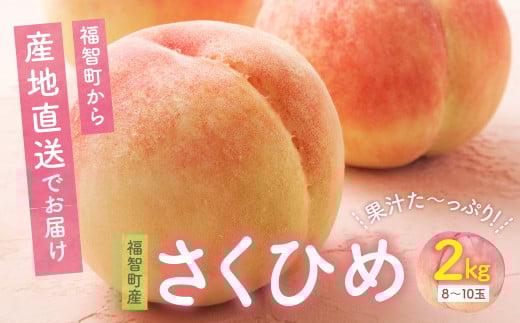 U20-04 【2025年発送】 先行予約！ ハウス桃 さくひめ 約2kg 桃 もも モモ 数量限定 福岡県 福智町産 さくひめ 果実 果物 くだもの フルーツ 産地直送 送料無料