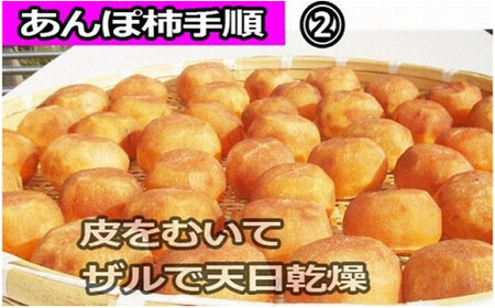 【県認定エコファーマー】あんぽ柿用生渋柿（平たねなし柿） 約14.5～15kg 50~90個【art002】