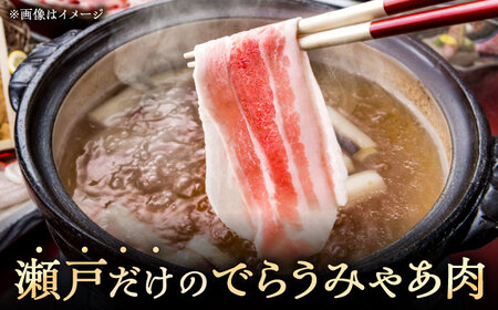 【全3回定期便】瀬戸豚 生活応援セット 計5kg / 豚肉 小分け しゃぶしゃぶ セット / 瀬戸市 / 関屋精肉店[BBBQ216]