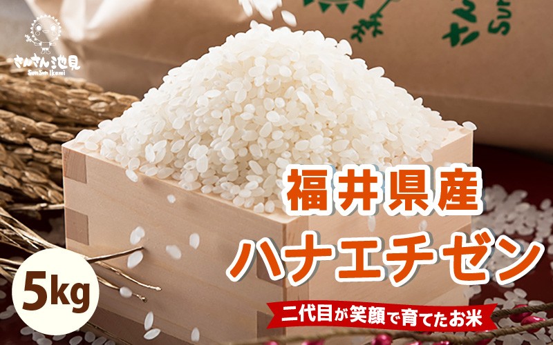 
            【先行予約】【令和7年産・新米】ハナエチゼン 5kg 華越前 ～坂井市三国町産・こだわりの精米対応～ 【2025年8月下旬以降順次発送予定】 [A-0255]
          
