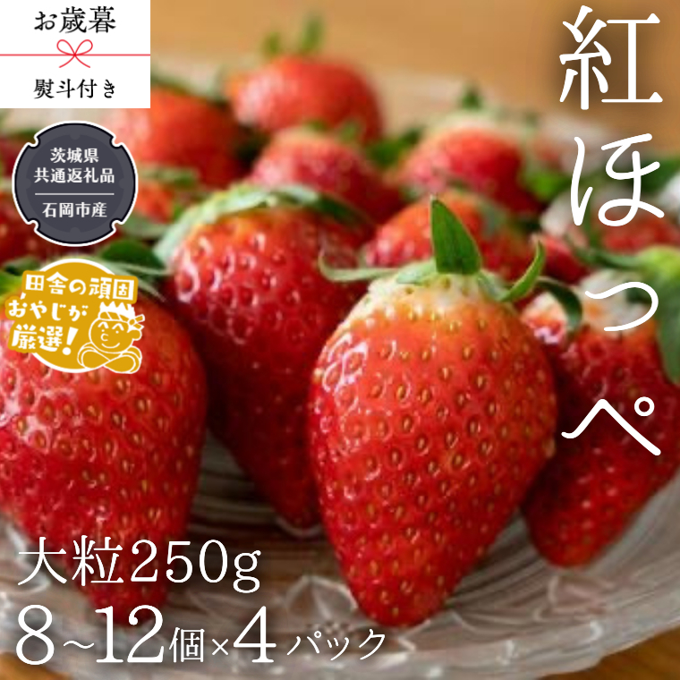 【 お歳暮 熨斗付 】紅ほっぺ〈いちご〉 大粒 250g（8～12粒）×4パック【令和6年12月から発送開始】（県内共通返礼品：石岡市産） いちご 苺 イチゴ 紅ほっぺ [BI372-NT]_イメージ