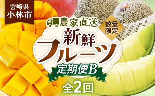 【定期便】数量限定/契約農家直送の新鮮フルーツ定期便B（タカミメロン、完熟マンゴー3玉）※50セット メロン マンゴー フルーツ 果物 完熟 宮崎県小林市