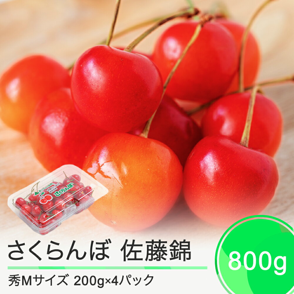 【ふるさと納税】 さくらんぼ 佐藤錦 6月中旬〜下旬発送 秀Mサイズ 800g (200gx4パック) フードパック 2025年産 山形県産 送料無料 サクランボ