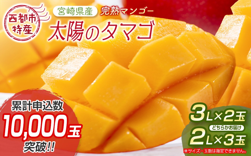 
            最高級ブランド『太陽のタマゴ』3Lサイズ2個または、2Lサイズ3個【糖度15度以上】宮崎県西都市産完熟マンゴー＜3-48＞宮崎マンゴー【先行予約】
          